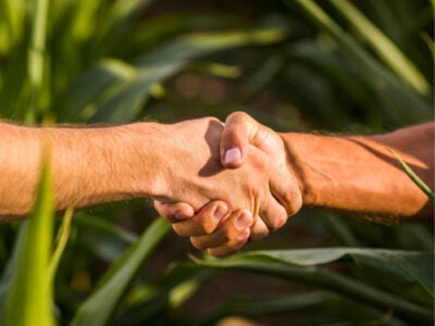 CURSO: BT Agro & N1 – Comercialização de Açúcar