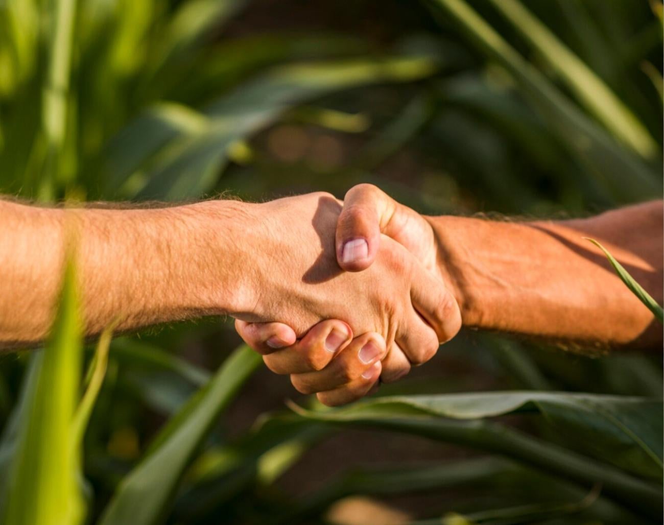 freepik__expand__3105 freepik__expand__3105